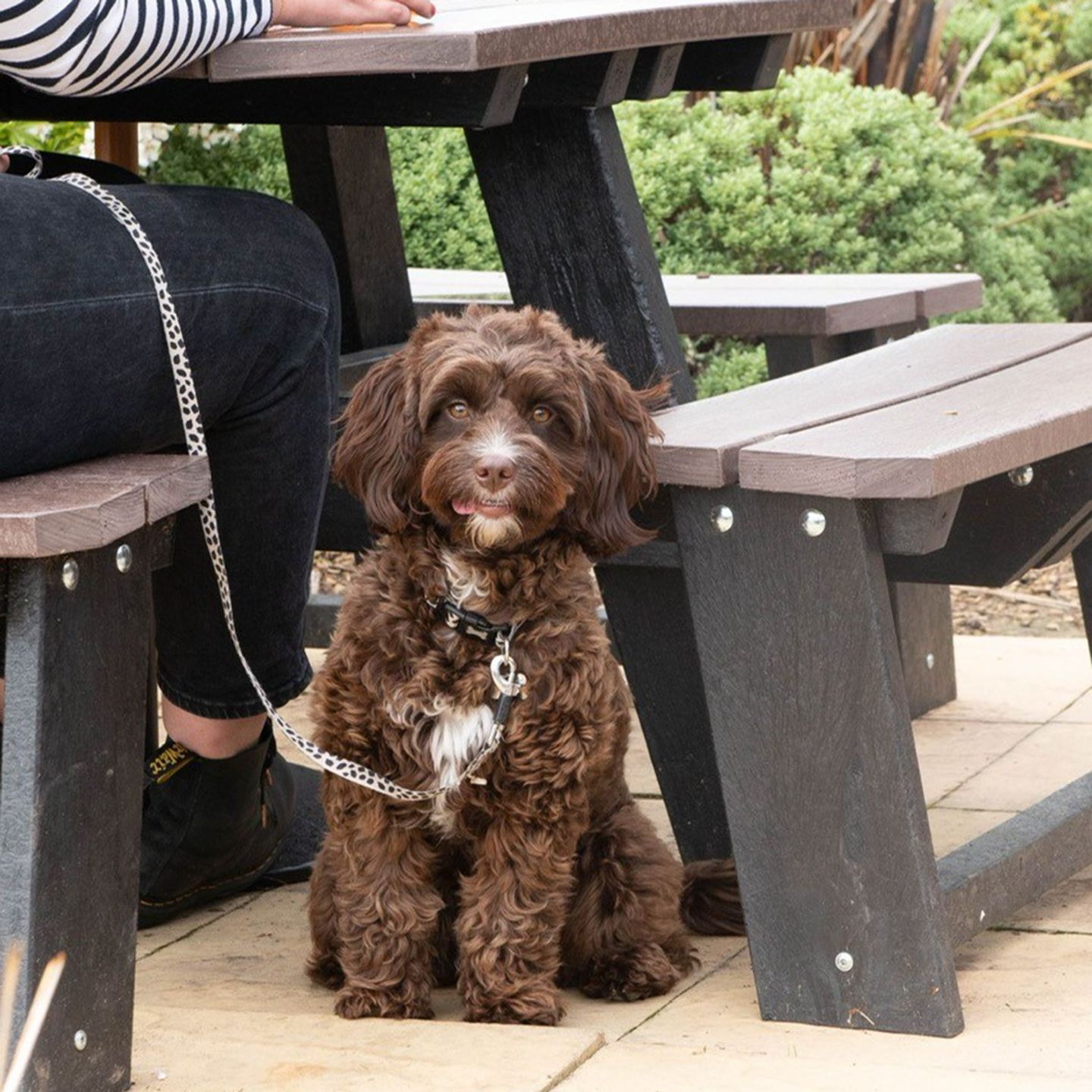 Your local dog friendly pub in Altrincham